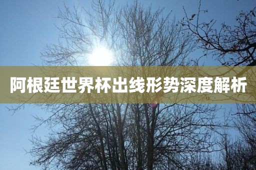 阿根廷世界杯出线形势深度解析洪湖市顺升工程机械租赁有限公司