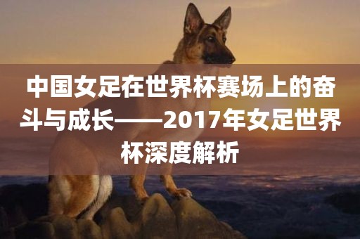 中国女足在世界杯赛场上的奋斗与成长——2017年女足世界杯深度解析洪湖市顺升工程机械租赁有限公司