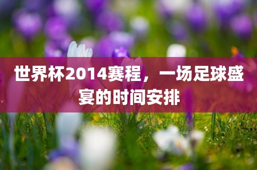 世界杯2014赛程，一场足球盛宴的时间安排