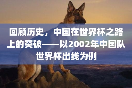 回顾历史，中国在世界杯之路上的突破——以2002年中国队世界杯出线为例