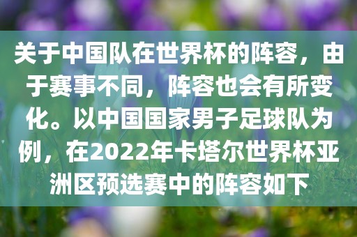 关于中国队在世界杯的阵容，由于赛事不同，阵容也会有所变化。以中国国家男子足球队为例，在2022年卡塔尔世界杯亚洲区预选赛中的阵容如下