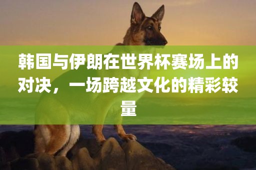 韩国与伊朗在世界杯赛场上的对决，一场跨越文化的精彩较量