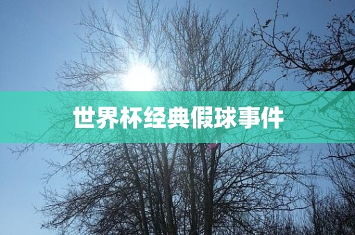 世界杯经典假球事件洪湖市顺升工程机械租赁有限公司