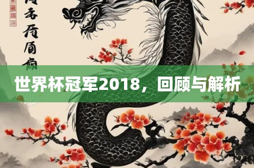 世界杯冠军2018，回顾与解析洪湖市顺升工程机械租赁有限公司