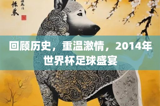 回顾历史，重温激情，2014年世界杯足球盛宴洪湖市顺升工程机械租赁有限公司