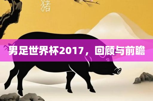 男足世界杯2017，回顾与前瞻洪湖市顺升工程机械租赁有限公司