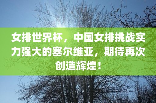 女排世界杯，中国女排挑战实力强大的塞尔维亚，期待再次创造辉煌！洪湖市顺升工程机械租赁有限公司