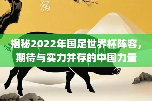 洪湖市顺升工程机械租赁有限公司揭秘2022年国足世界杯阵容，期待与实力并存的中国力量