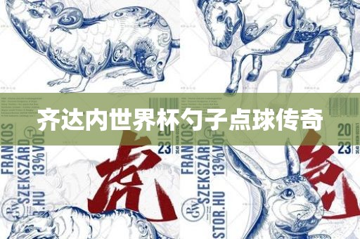 齐达内世界杯勺子点球传奇洪湖市顺升工程机械租赁有限公司