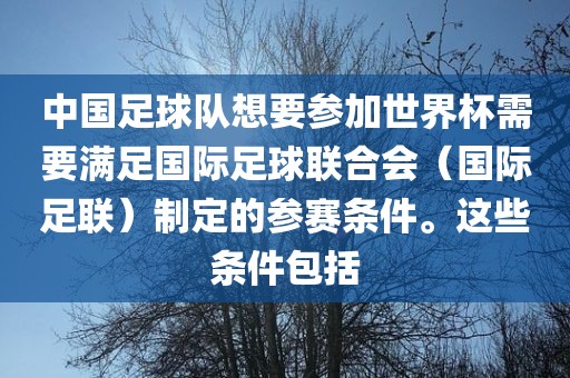 中国足球队想要参加世界杯需要满足国际足球联合会（国际足联）制定的参赛条件。这些条件包括
