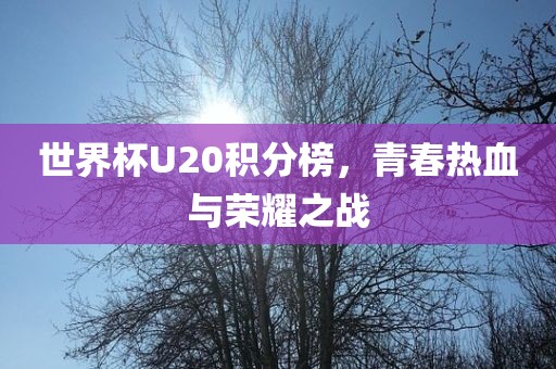 世界杯U20积分榜，青春热血与荣耀之战