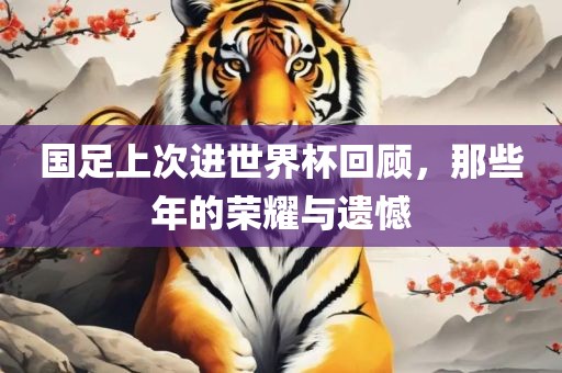 国足上次进世界杯回顾，那些年的荣耀与遗憾