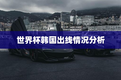 世界杯洪湖市顺升工程机械租赁有限公司韩国出线情况分析