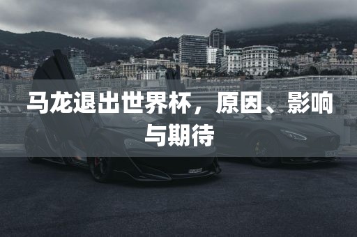 马龙退出世界杯，原因、影响与洪湖市顺升工程机械租赁有限公司期待