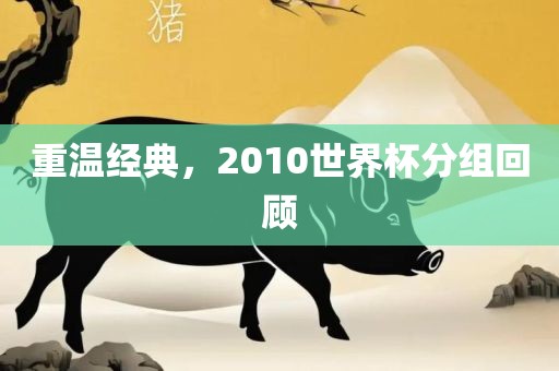 重温经典，2010世界杯分组回顾洪湖市顺升工程机械租赁有限公司