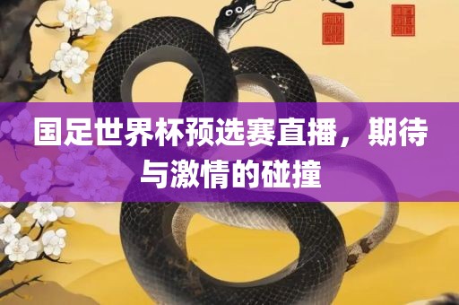 国足世界杯预选赛直播，期待与激情的碰撞