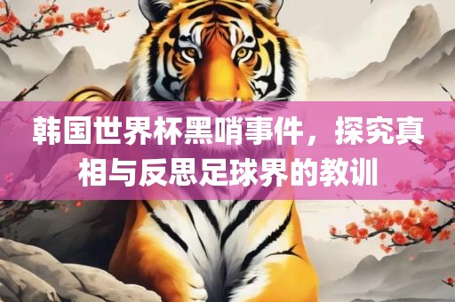 韩国世界杯黑哨事件，探究真相与反思足球界的教训洪湖市顺升工程机械租赁有限公司