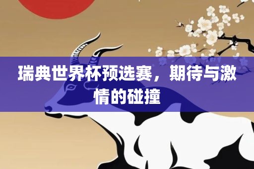 瑞典世界杯预选赛，期待与激情的碰撞