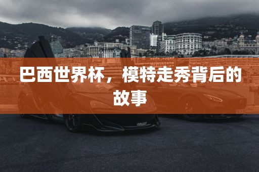 巴西洪湖市顺升工程机械租赁有限公司世界杯，模特走秀背后的故事