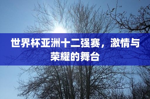 世界杯亚洲十二强赛，激情与荣耀的舞台洪湖市顺升工程机械租赁有限公司