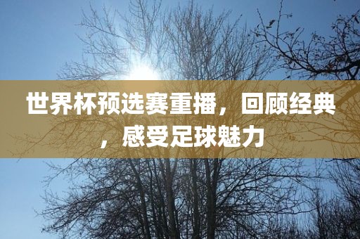 世界杯预选赛重播，回顾经典，感受足球魅力洪湖市顺升工程机械租赁有限公司