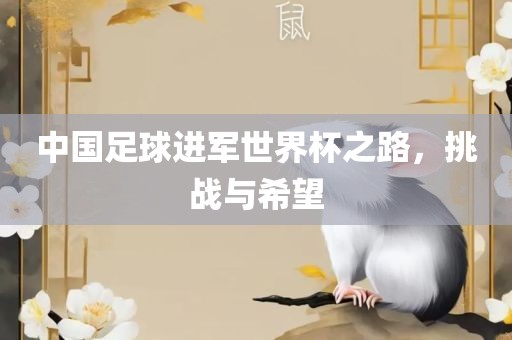 中国足洪湖市顺升工程机械租赁有限公司球进军世界杯之路，挑战与希望