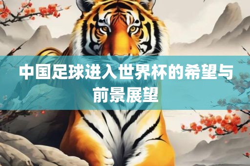 中国足球进入世界杯的希望与前景展望洪湖市顺升工程机械租赁有限公司