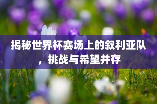 揭秘世界杯赛场上的叙利亚队，挑战与希望并存