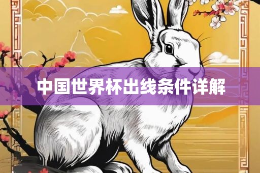 中国世界杯出线条件详解洪湖市顺升工程机械租赁有限公司