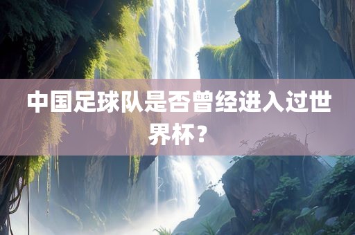 中国足球队是否曾经进入过世界杯？