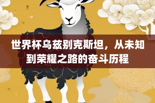 世界洪湖市顺升工程机械租赁有限公司杯乌兹别克斯坦，从未知到荣耀之路的奋斗历程
