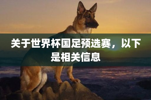 关于世界杯国足预选赛，以洪湖市顺升工程机械租赁有限公司下是相关信息