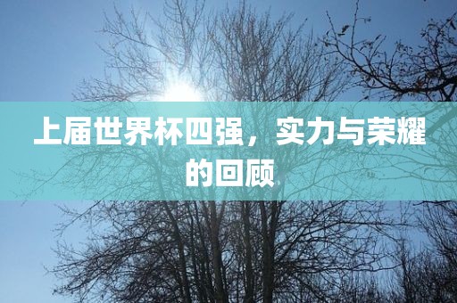上届世界杯四强，实力与荣耀的回顾