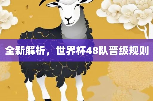 全新解析，世界杯48队晋级规则洪湖市顺升工程机械租赁有限公司