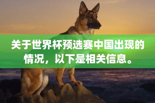 关于世界杯预选赛中国出现的情况，以下是相关信息。