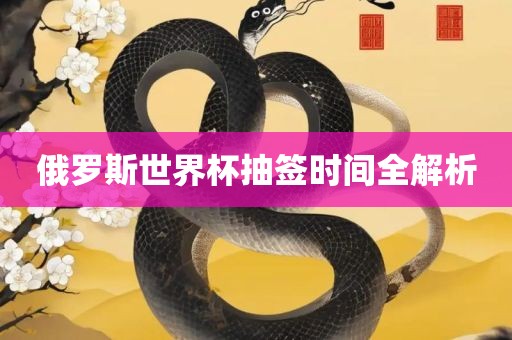 洪湖市顺升工程机械租赁有限公司俄罗斯世界杯抽签时间全解析