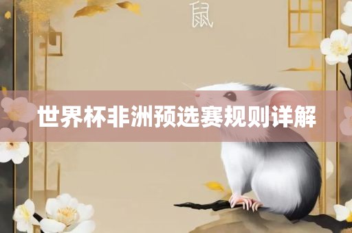 世界杯非洲预选赛规则详解