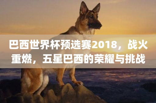 巴西世界杯预选赛2018，战火重燃，五星巴西的荣耀与挑战