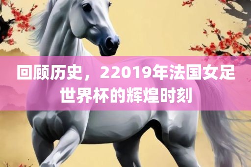 回顾历史，22019年法国女足世界杯的辉煌时刻洪湖市顺升工程机械租赁有限公司