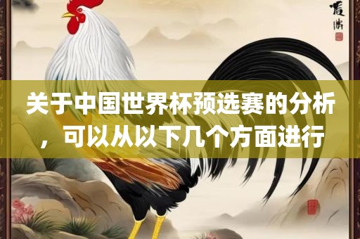 关于中国世界杯预选赛的分析，可以从以下几个方面进行