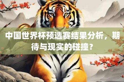中国世界杯预选赛结果分析，期待与现实的碰撞？