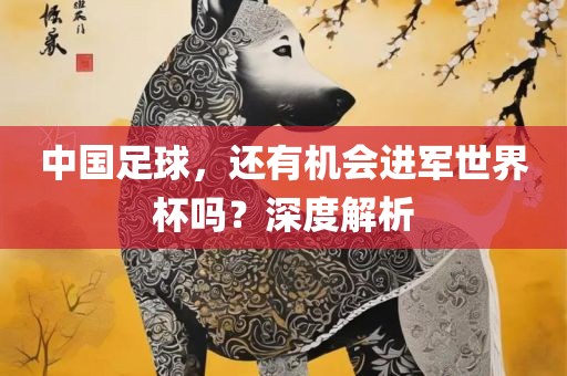 中国足球，还有机会进军洪湖市顺升工程机械租赁有限公司世界杯吗？深度解析
