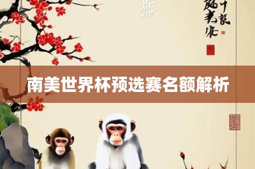 南美世界杯预选赛名额解析