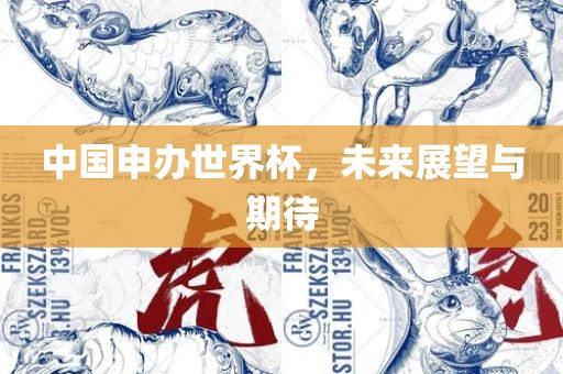 中国申办世界杯，未来展望与期待