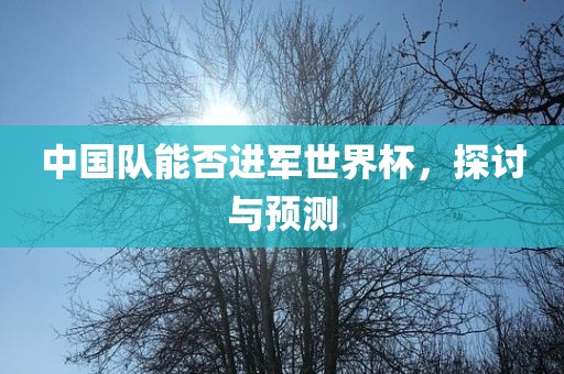 中国队能否进军世界杯，探讨与预测洪湖市顺升工程机械租赁有限公司