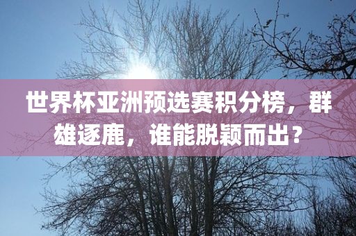 世界杯亚洲预选赛积分榜，群雄逐鹿，谁能脱颖而出？