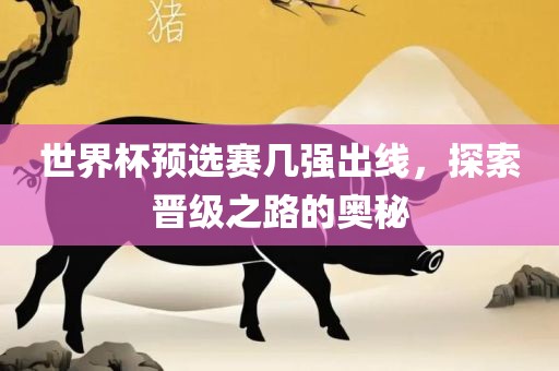 世界杯预选赛几强出线，探索晋级之路的奥秘