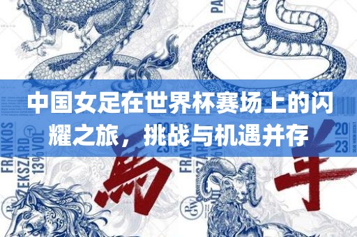 中国女足在世界杯赛场上的闪耀之旅，挑战与机遇并存洪湖市顺升工程机械租赁有限公司