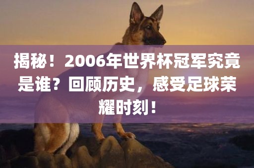 揭秘！2006年世界杯冠军究竟是谁？回顾历史，感受足球荣耀时刻！洪湖市顺升工程机械租赁有限公司