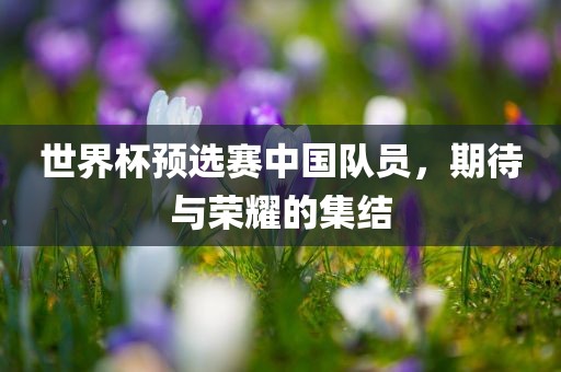 世界杯预洪湖市顺升工程机械租赁有限公司选赛中国队员，期待与荣耀的集结